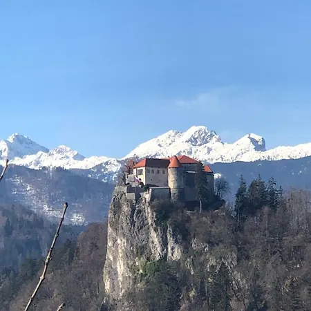 Apartment Benes Bled